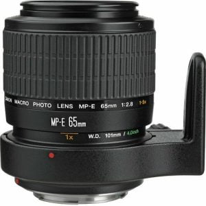 CANON MP-E65mm f/2.8 1-5x Macro Photo